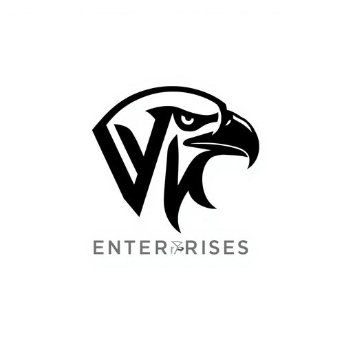 VIS ENTERPRISES